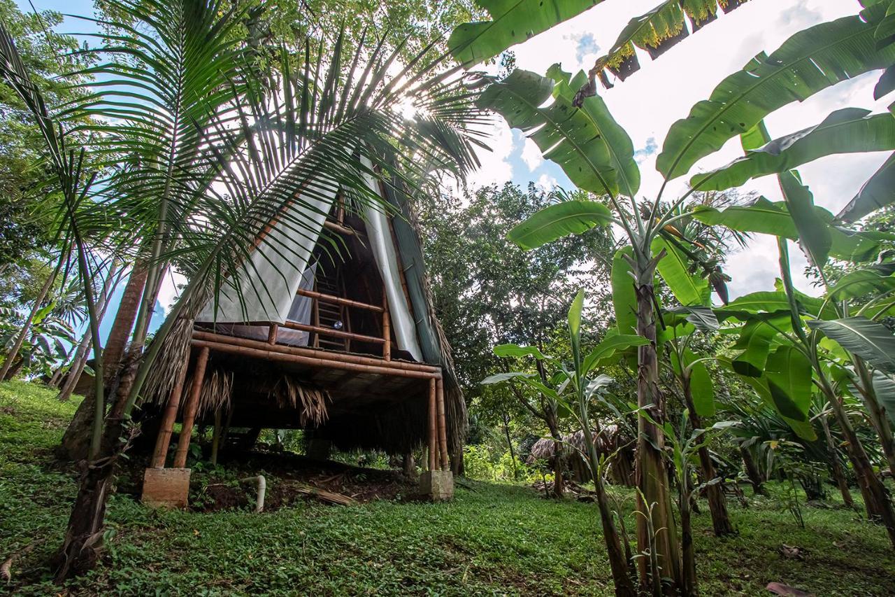 Villa Yira Eco-Hotel Ель-Зайно Екстер'єр фото