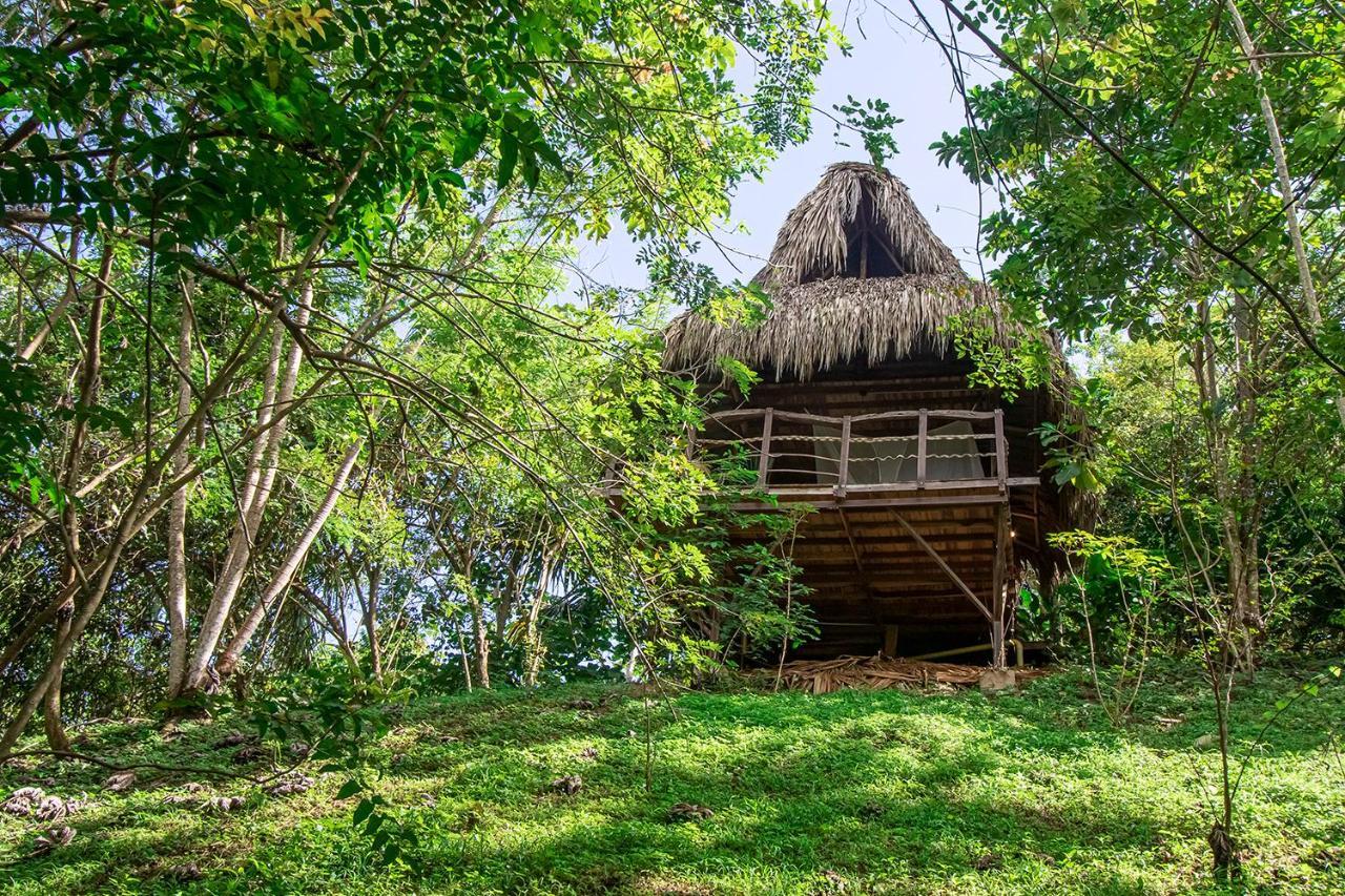 Villa Yira Eco-Hotel Ель-Зайно Екстер'єр фото